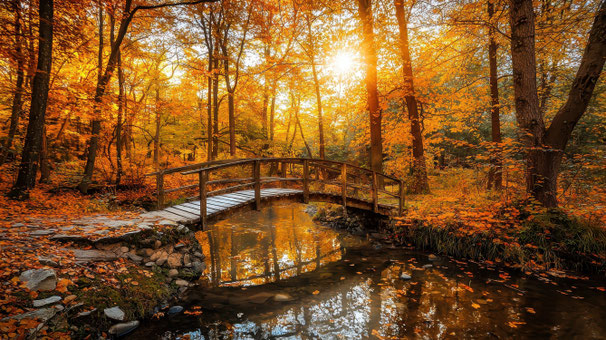 Naturcoaching mit Herbst