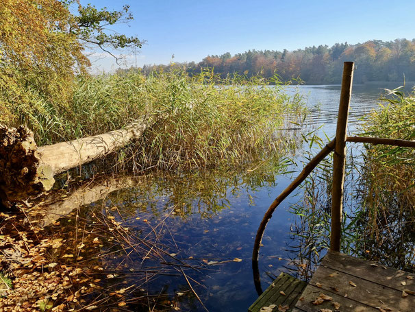 Herbsturlaub, Mecklenburg, Wald, See, Herbst