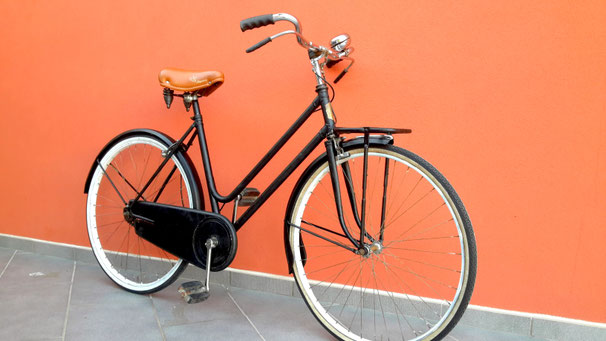 Bici da Donna Walton