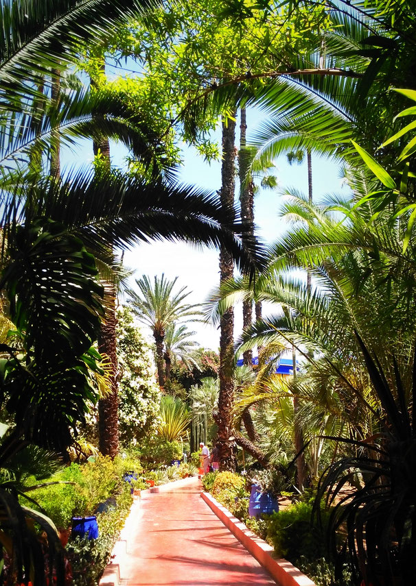 Jardin Majorelle