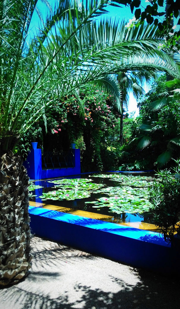 jardin Majorelle yves saint laurent marrakesch
