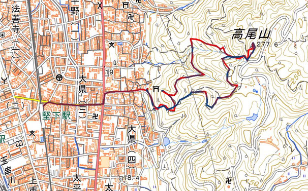 2月06日 大阪・高尾山、柏原水仙郷 ル・ベール山の会2020