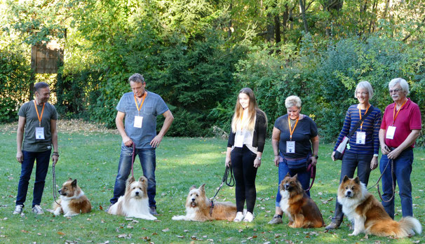 Familienhund