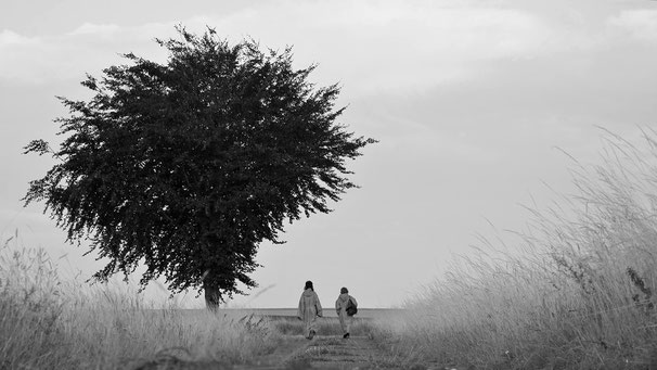 Lino Heissenberg & Yannick Averdiek | Harzerland (Filmstill) | 2023 | HD Video | 15:13 min