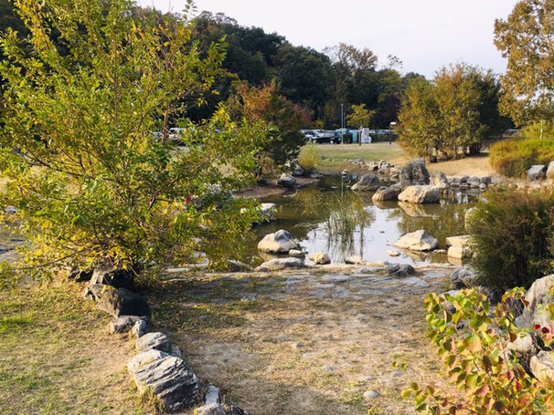 天白公園＿プール・水遊び