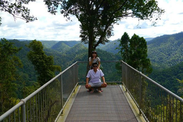 Mamu Canopy Walk にいってきて熱帯雨林の中を歩いて。