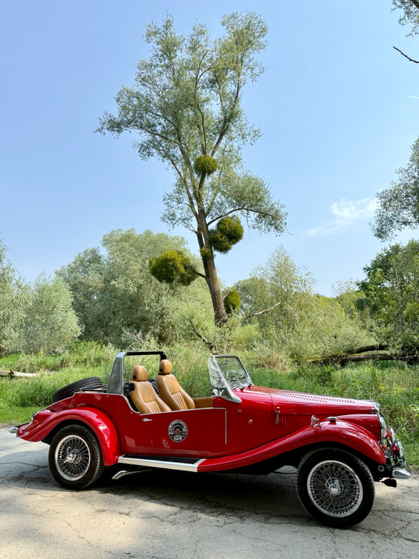 The French Spartan en France