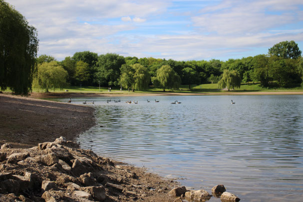 Fühlinger See