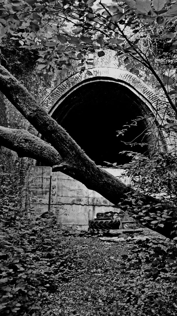 Tunnel Waldwisse