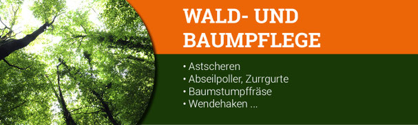 Wald- und Baumpflege