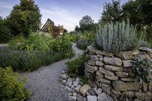 Der Naturgarten der Ökostation Freiburg | Foto: Düsenberg