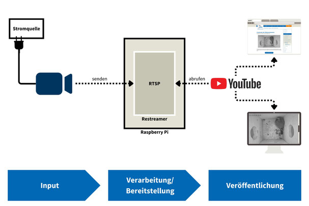 Von der Nistkastenkamera zum Livestream (Infografik: H. Budig)