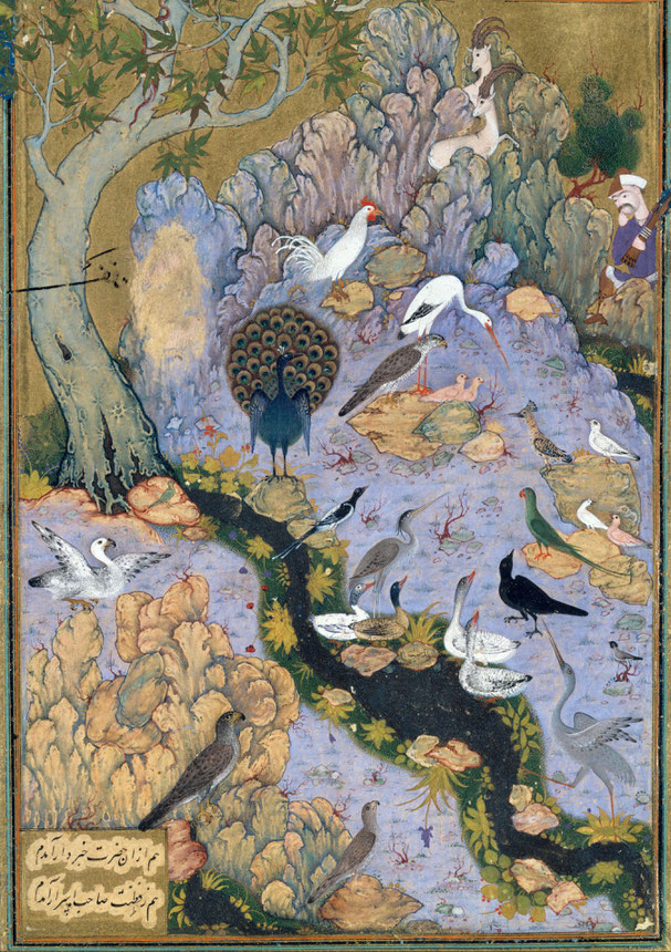 Illustrazione del Mantiq al-Tayr di Farid al-din 'Attâr