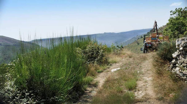 récolte du miel en montagne sur les hauteurs du massif cévenol