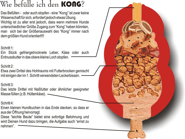 Was ist ein KONG? warndtwaldis