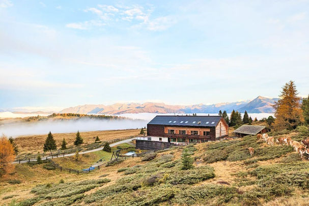 Gemütliche Stube der Starkenfeldhütte mit Holzdecke, Kaminfeuer, rustikalen Holztischen und modernen Loungesesseln – perfekter Ort für Genuss und Hüttenromantik.