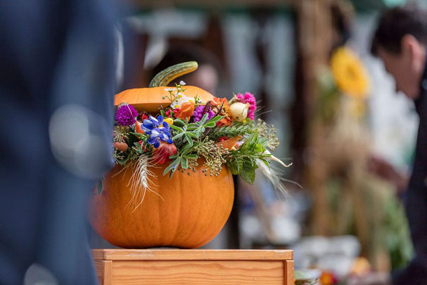 Herbstliche Kürbisdekoration mit bunten Blumen auf dem Erntedankfest in Bozen – stimmungsvolles Detail auf dem Waltherplatz in festlicher Atmosphäre.