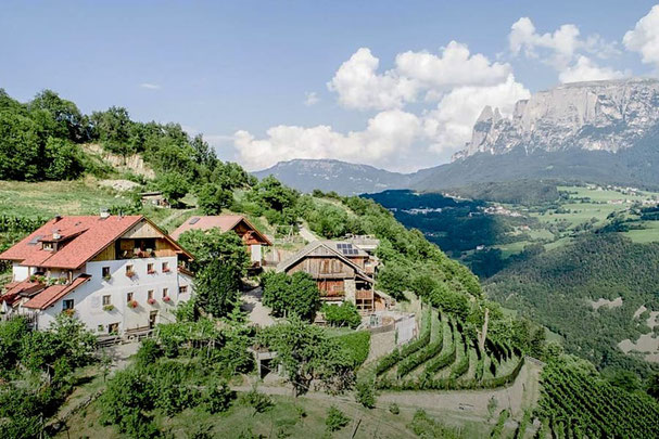 Blick auf das Weingut Rielingerhof am Ritten in Südtirol mit Weinbergen, Bauernhaus und Panoramablick auf den Schlern – ein idyllischer Weinhof in Hanglage.