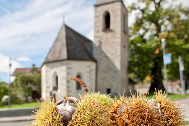 Die Kirche von Feldthurns im Hintergrund und die Kastanienigel im Vordergrund bei den Keschtnigl-Wochen Feldthurns in Südtirol
