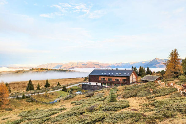 Gemütliche Stube der Starkenfeldhütte mit Holzdecke, Kaminfeuer, rustikalen Holztischen und modernen Loungesesseln – perfekter Ort für Genuss und Hüttenromantik.
