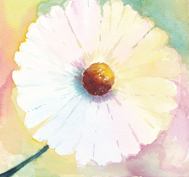 Margarite, 19x19cm, 100€