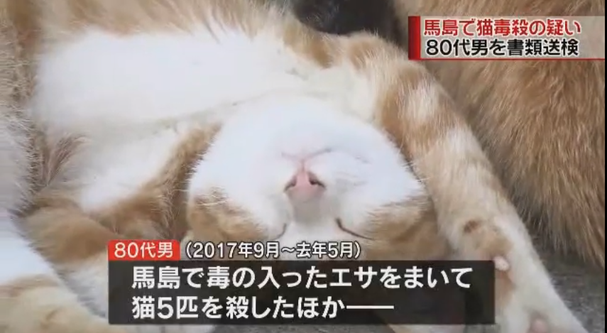 Poisoned food killed many cats sadly Source: FBS Fukuoka broadcast