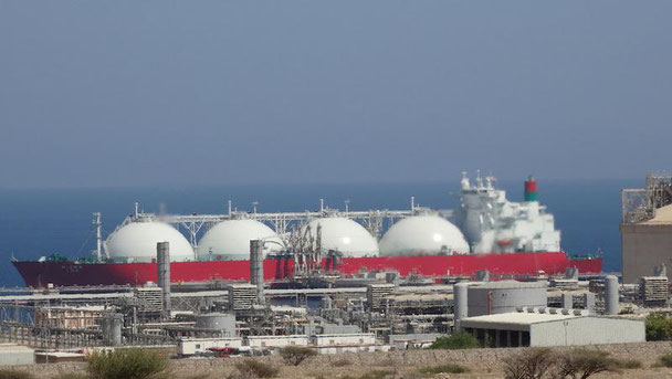Flir Infrarot Kompetenzen Gaswirtschaft
