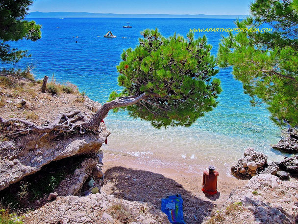 #makarska #makarskariviera #makarskabeaches #adriatic #sea #mare #meer #dalmatia #dalmazia #dalmatien #croatia #croazia #chorwacja #kroatien #apartmentspovlja #holidayapartments #vacation #vacanze #urlaub 