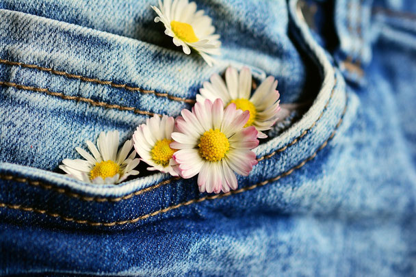 Picture Flower in a pocket by Pixabay