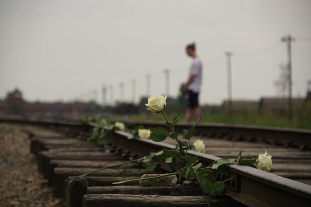 Blumen auf Bahngleise in Auschwitz 