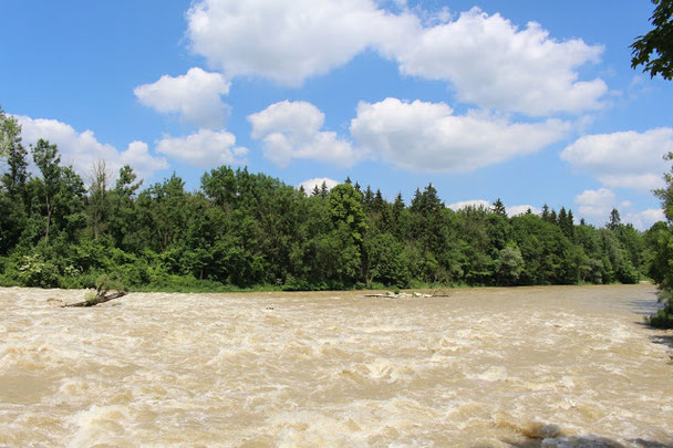 floods Isar river Munich heavy rain fishing impossible