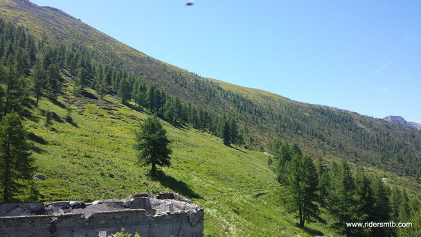 Al fianco della struttura adibita a funicolare -oramai in disuso- si imbocca un single track impegnativo per la pendenza e per i numerosi tornantini....in discesa sarebbe tutto più divertente 