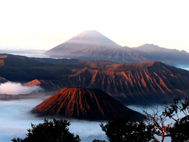 uitzicht over de Bromo en Semeru vulkaan oost Java