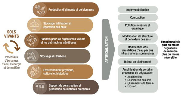 (source : auteurs, d’après Réseau National des Aménageurs, 2020)