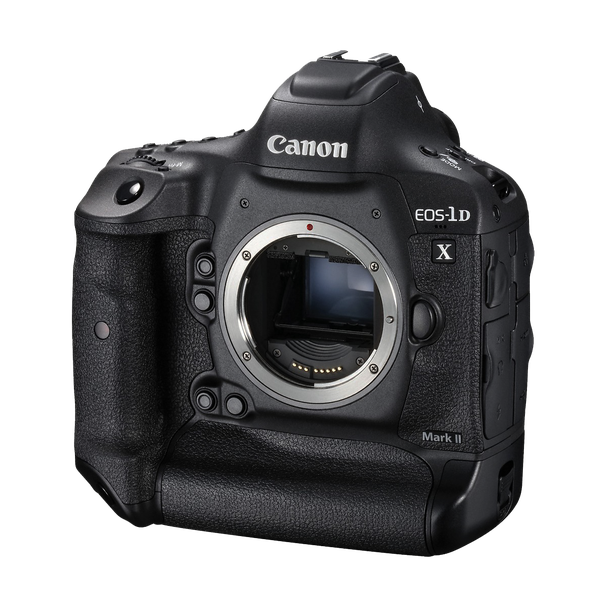 Canon EOS-1D X Mark II DSLR. 4K Video, 20.2 Megapixel Full-Frame CMOS Sensor - Brand New! - Image Art God & Love Inc. Copyrights © 2017