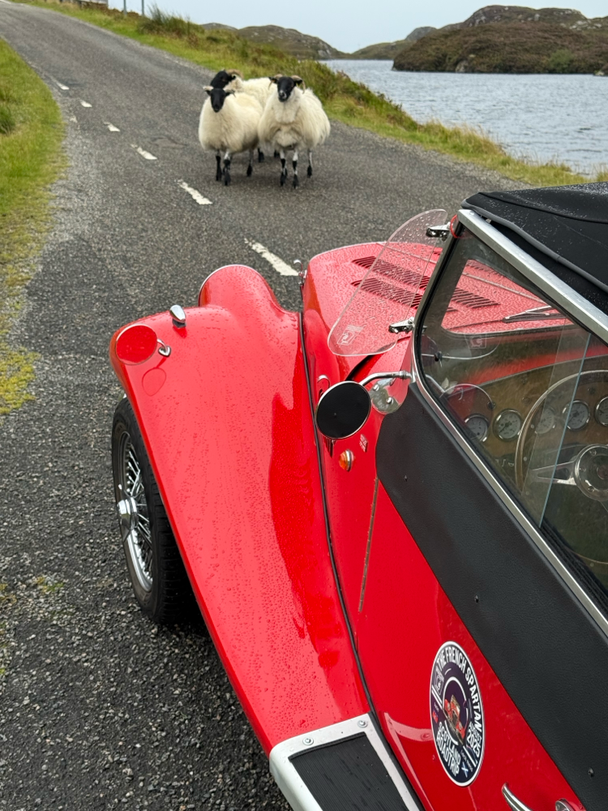 Moutons sur les routes Ecossaises