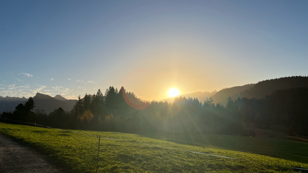 Resilienz und Transformation