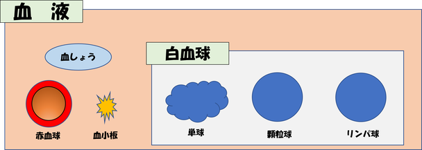 血液のイメージ