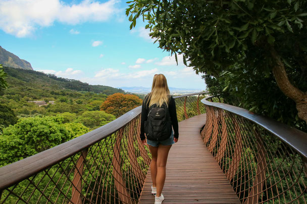 Kirstenbosch
