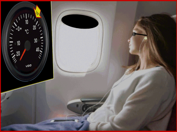 Alcuni passeggeri si lamentano dell’aria troppo fredda  in aereo. Sono i piloti che  tengono bassa la temperatura ai fini di ridurre il numero di batteri nell'aria della cabina.