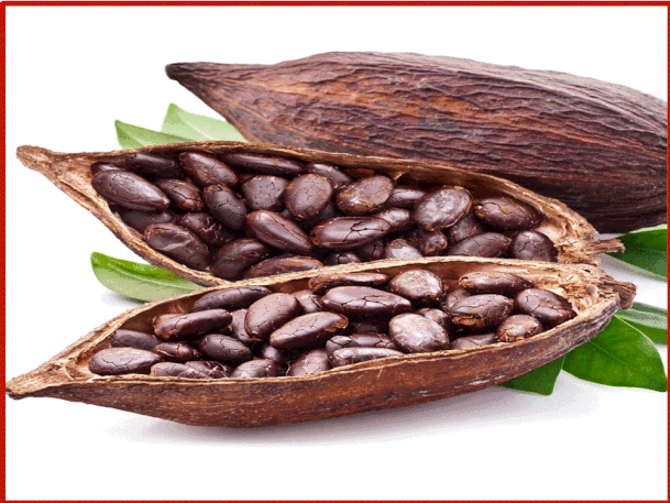 Dopo la raccolta con un machete e la loro fermentazione, l'essiccazione al sole dura tra 7 e 15 giorni. Le fave vengono girate periodicamente, po i semi di cacao vengono confe-zionati in sacchi di iuta per il consumo locale o per per essere esportate.