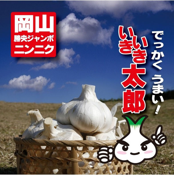 【岡山産】ジャンボニンニク　香り・栄養満点　10キロ　梱包資材込み　令和7 岡山産ジャンボにんにく - いきいきファーム