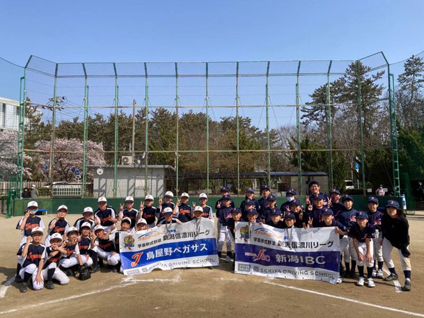 〈写真〉鳥屋野ペガサス・新潟ＩＢＣ