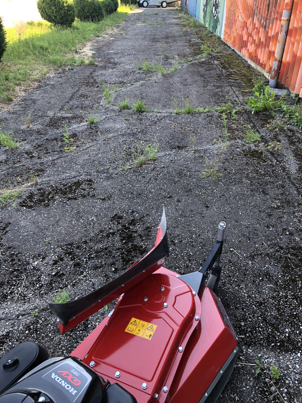 POV beim Wildkraut entfernen