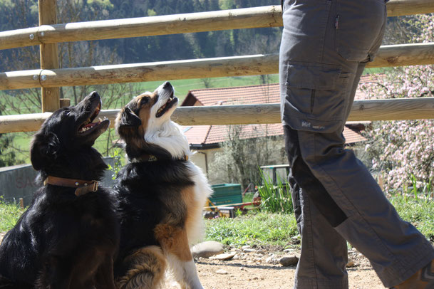 Ila und Moritz