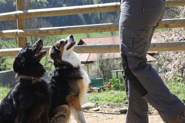 Ila und Moritz