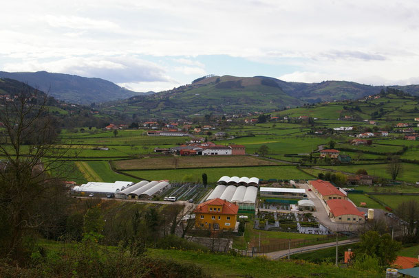Finca Vegapresas."Una ciudad para todos"