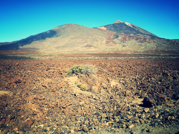 Mit dem Rennrad zum El Teide