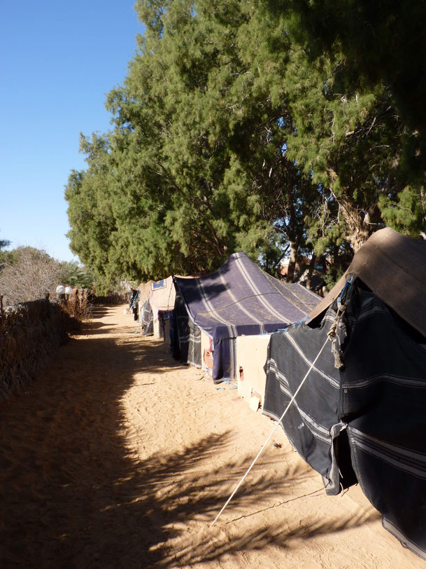 Tunisie : campement de Ksar Ghilane