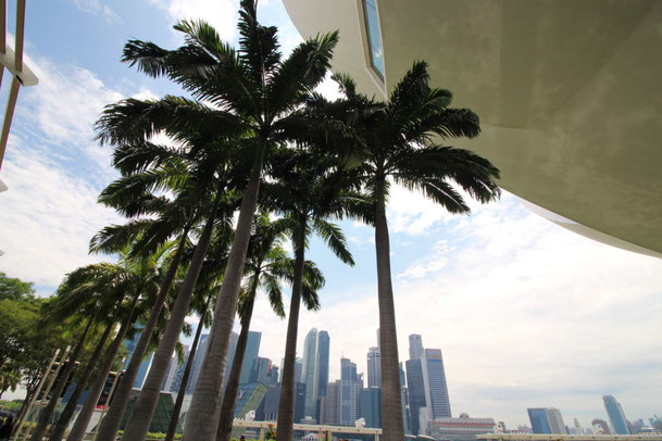 Weltreise Singapur Things do to in Singapur Asien Reiseblog Reisebericht Reisetipps